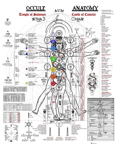 The Transcendent Body: Delving into the Occult Anatomy of Man